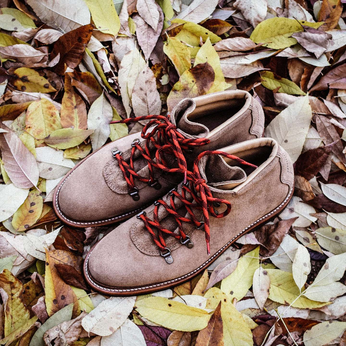 Natural Chromexcel Roughout Summit Boot - Detail Image One