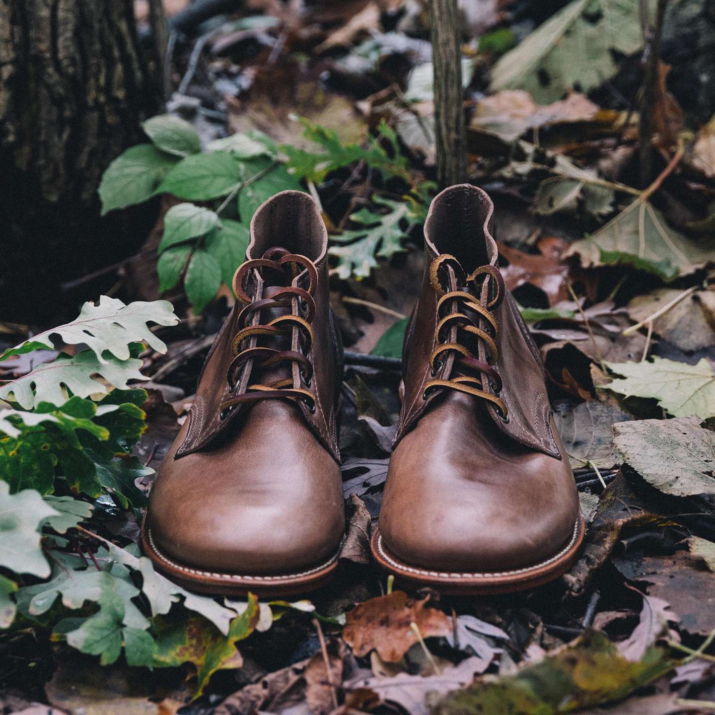 Natural Chromexcel Trench Chukka - Detail Image One