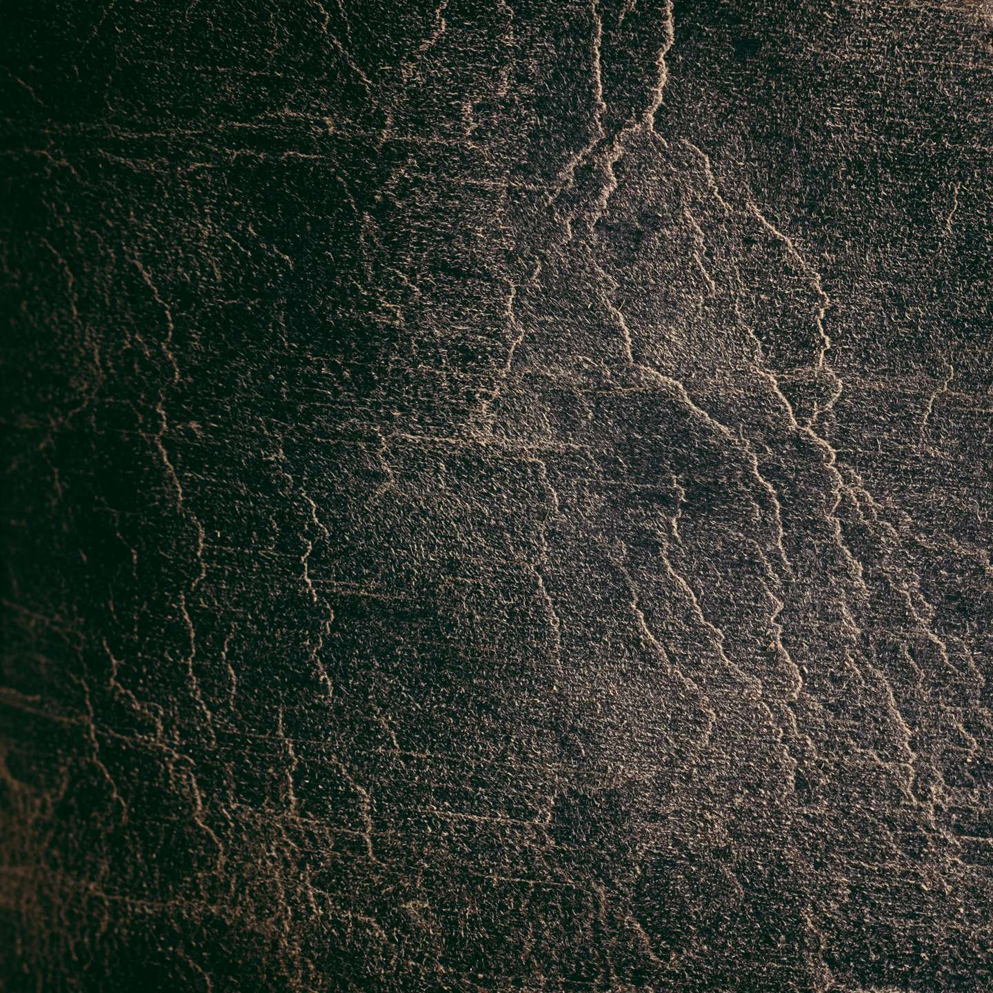 Charcoal Teton Stag Trench Oxford - Detail Image Two