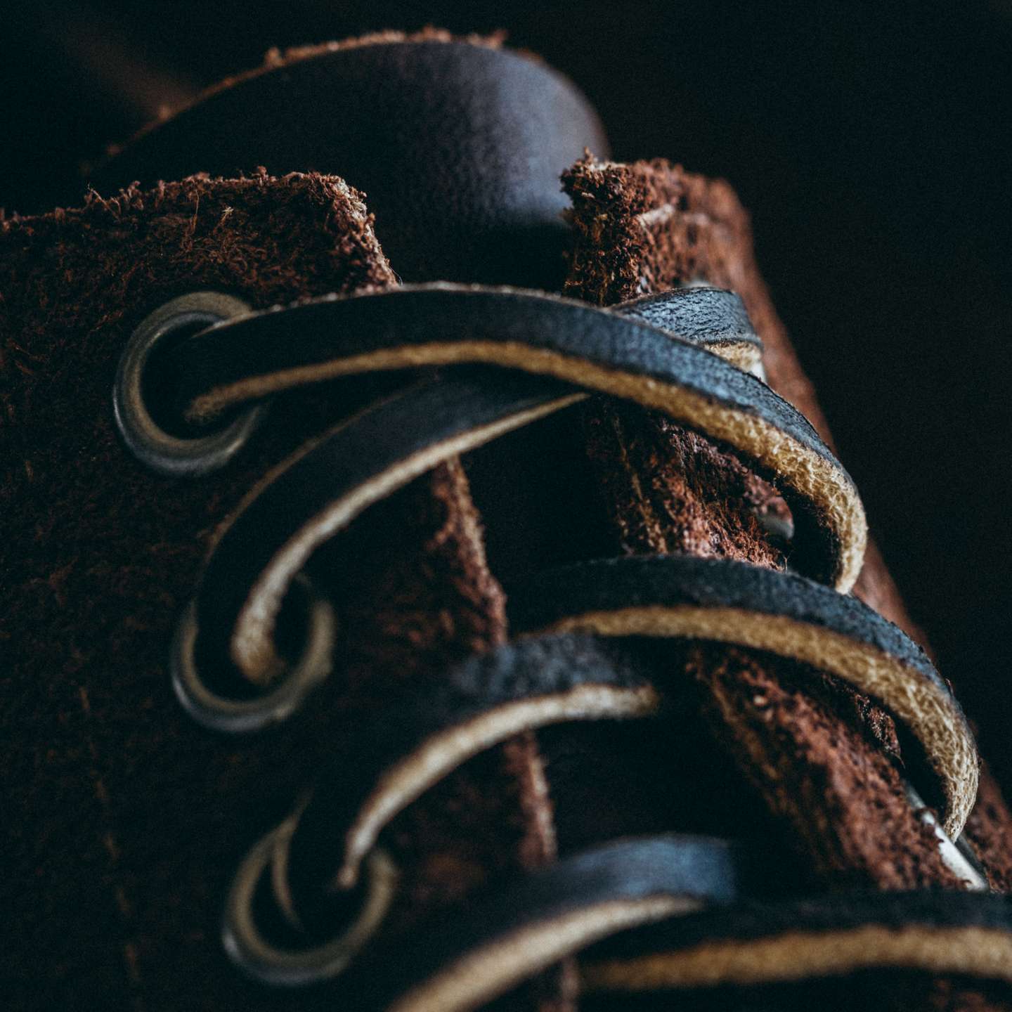 Black Walnut Stampede Roughout Trench Oxford - Detail Image One