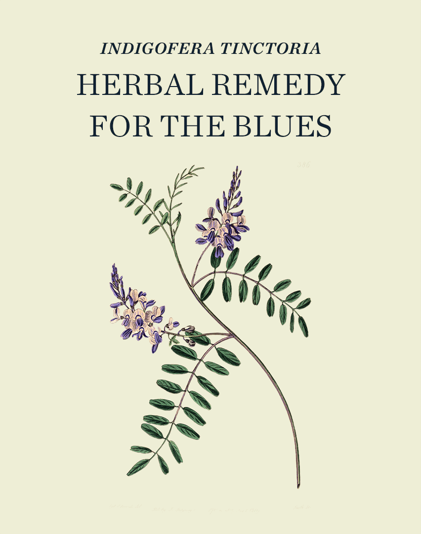 Natural Indigo - Herbal Remedy for the Blues